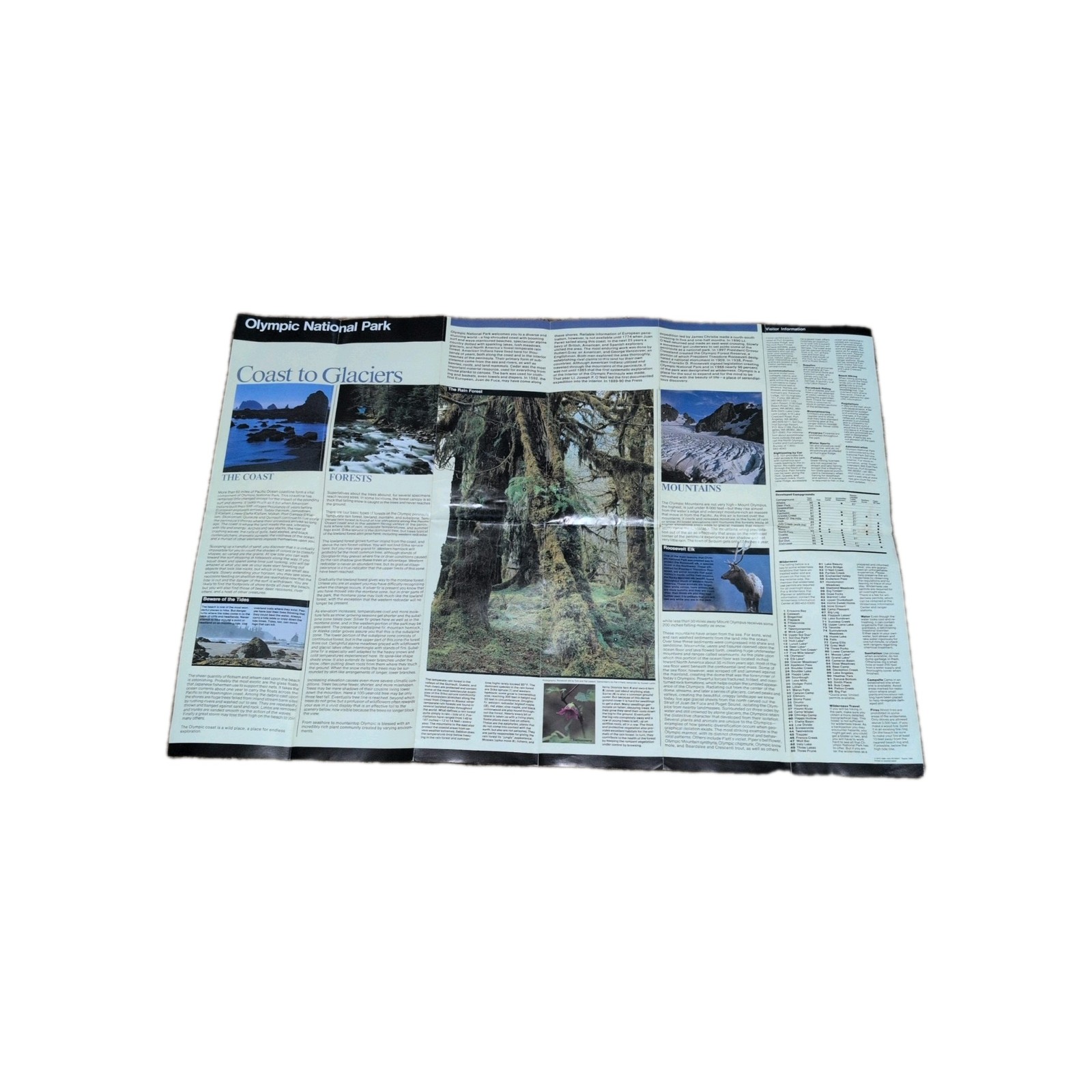 Vintage 1999 OLYMPIC National Park Map – Official Map National Park Service