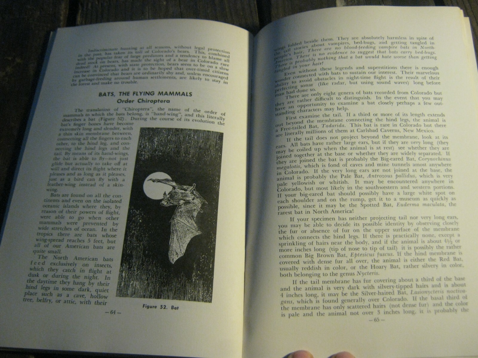 1967 Guide To The Mammals Of Colorado book by Hugo G. Rodeck