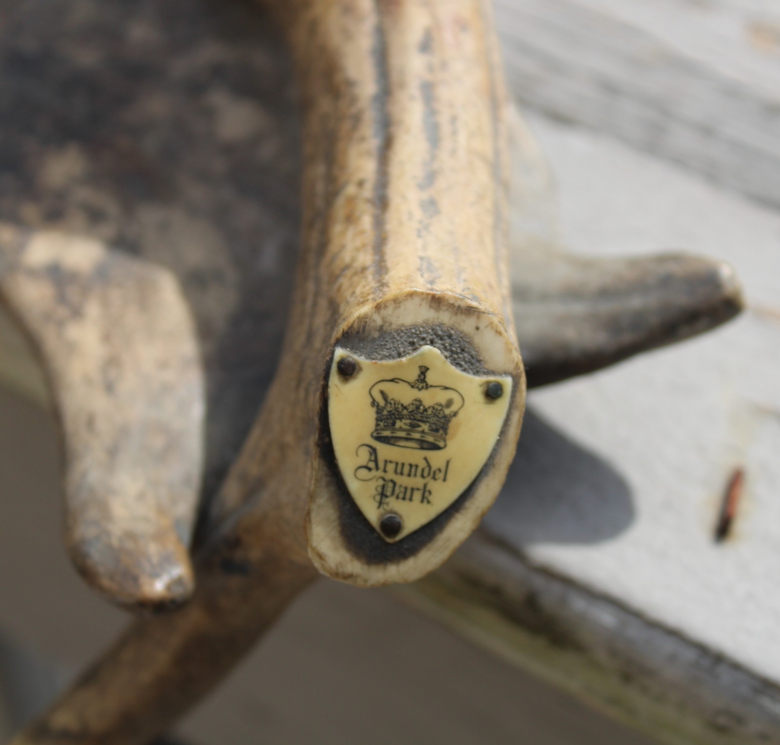 Arundel Park Moose Antlers Souvenir