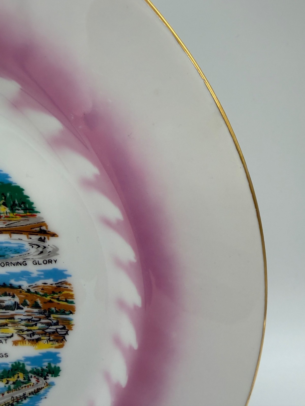 Vintage Yellowstone Park Souvenir Plate Japan Old Faithful Pink Gold Rim 10.25in