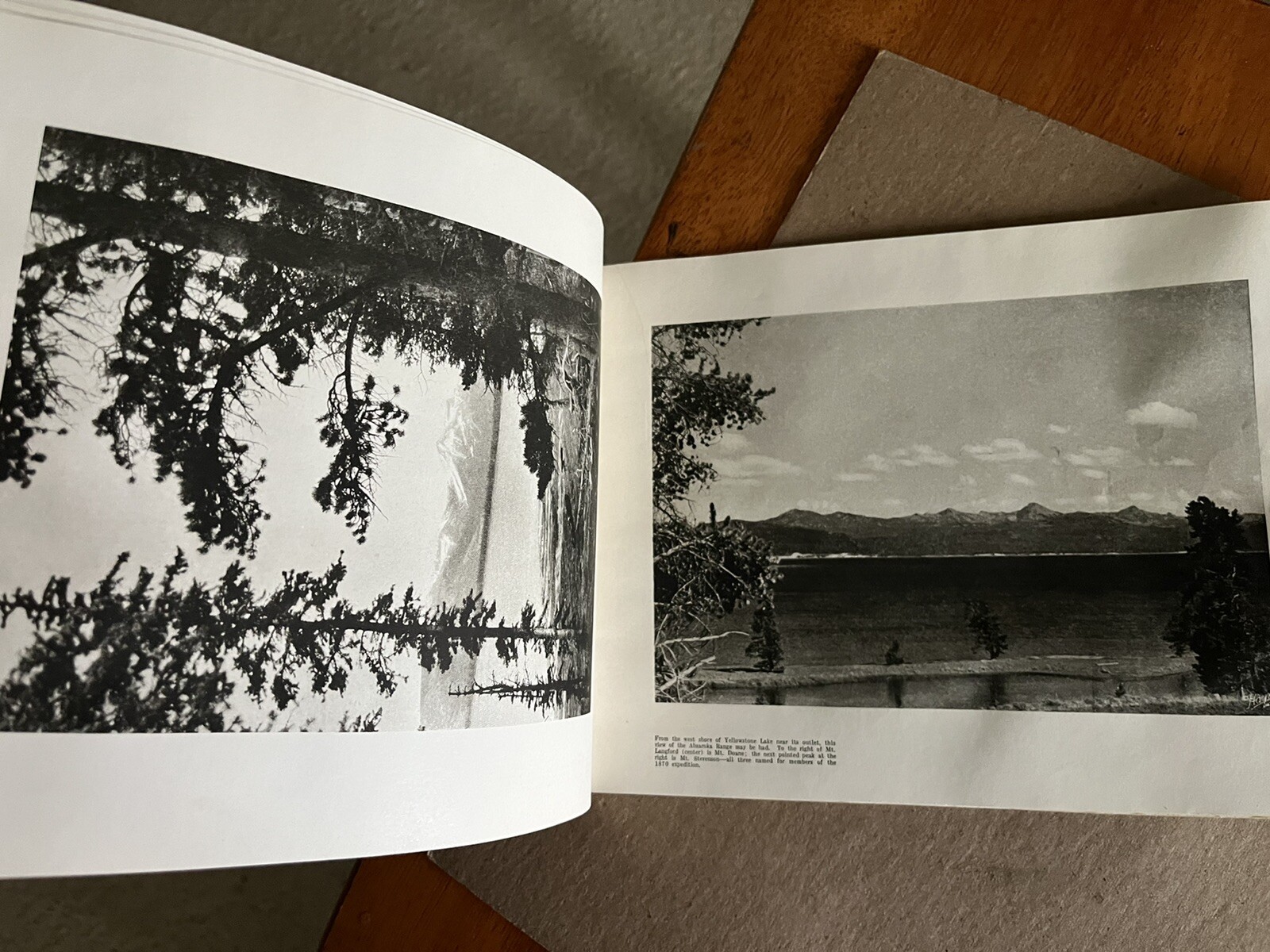 Vintage 1940 Hayne ‘ s Souvenir Album Yellowstone National Park B&W Photo Album
