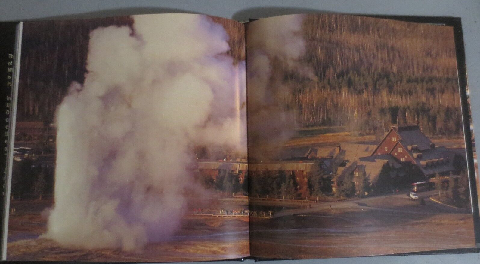 Old Faithful Book Hardback Book 63 Pages and Dust Cover and DVD in Box