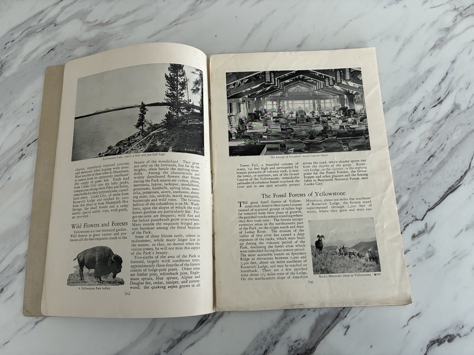 Vintage 1928 Union Pacific Yellowstone National Park Handbook Book With Map