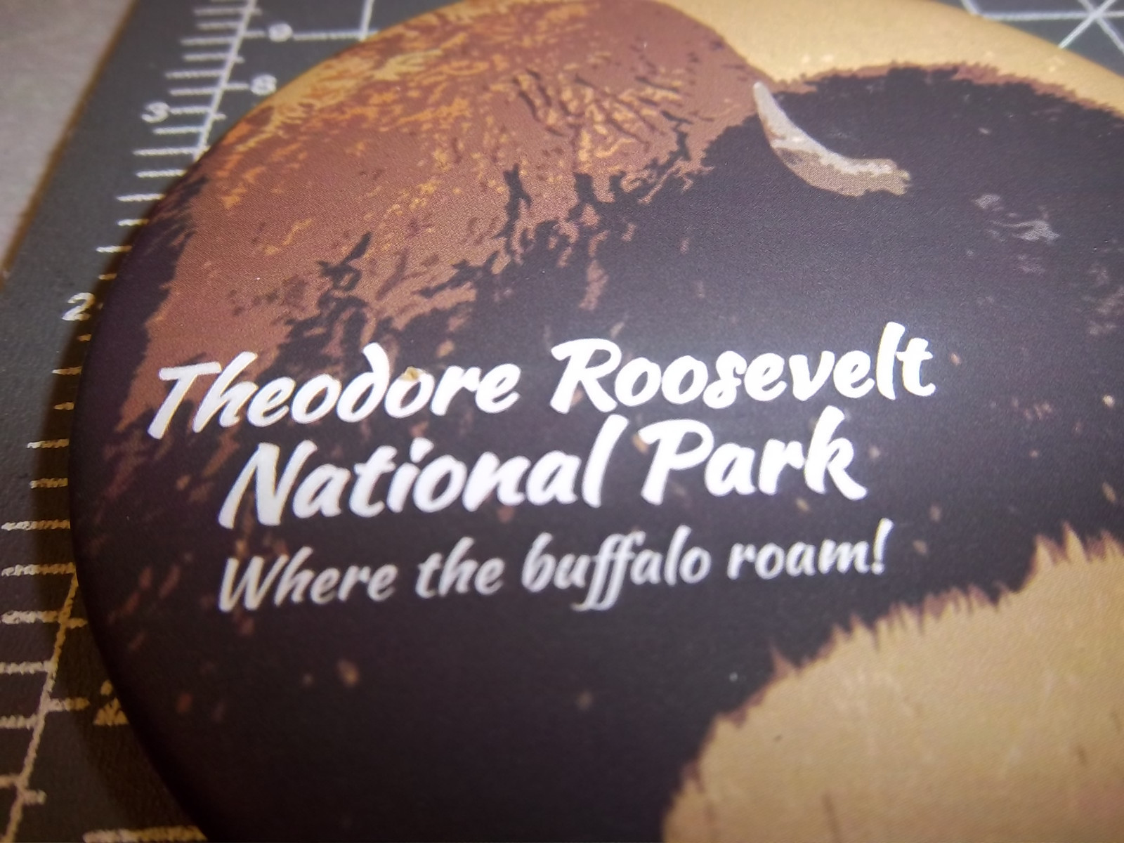 Teddy Roosevelt National Park – North Dakota collectors Magnet, buffalo roam…