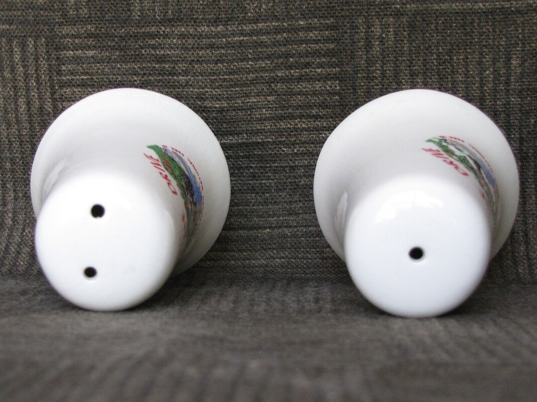 SALT & PEPPER SHAKERS Shenandoah National Park Souvenir “SKYLINE DRIVE” Vintage