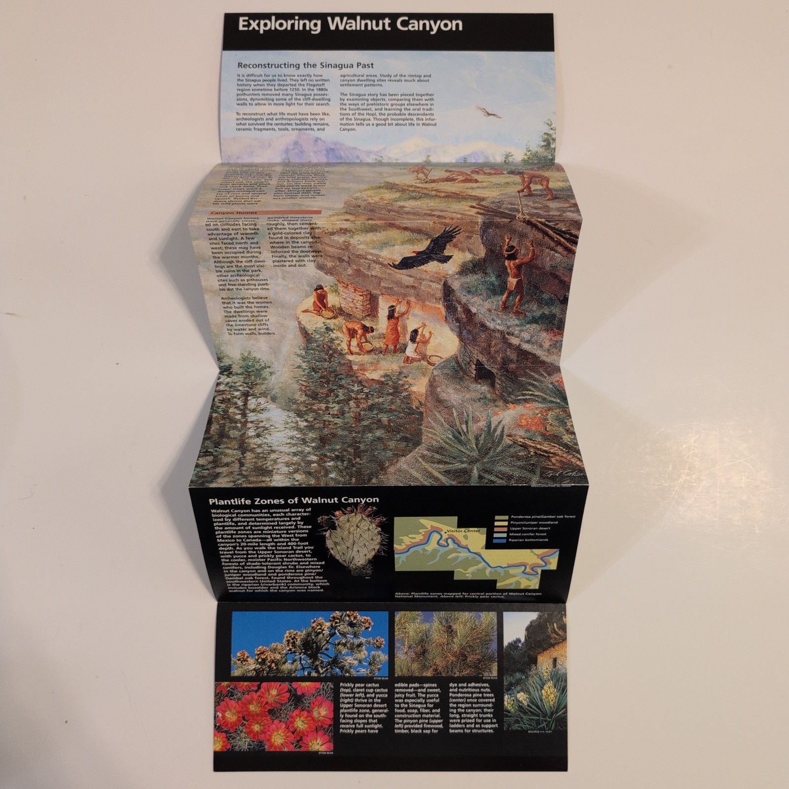 Walnut Canyon National Park Service NPS Unigrid Brochure GPO 2006 Reprint 2006