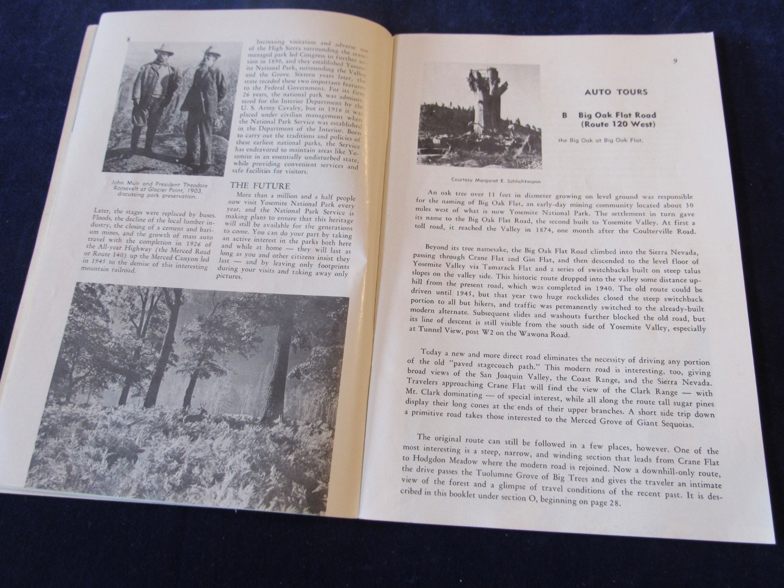 Vintage 1965 Self Guiding Auto Tours In Yosemite National Park Brochure C564