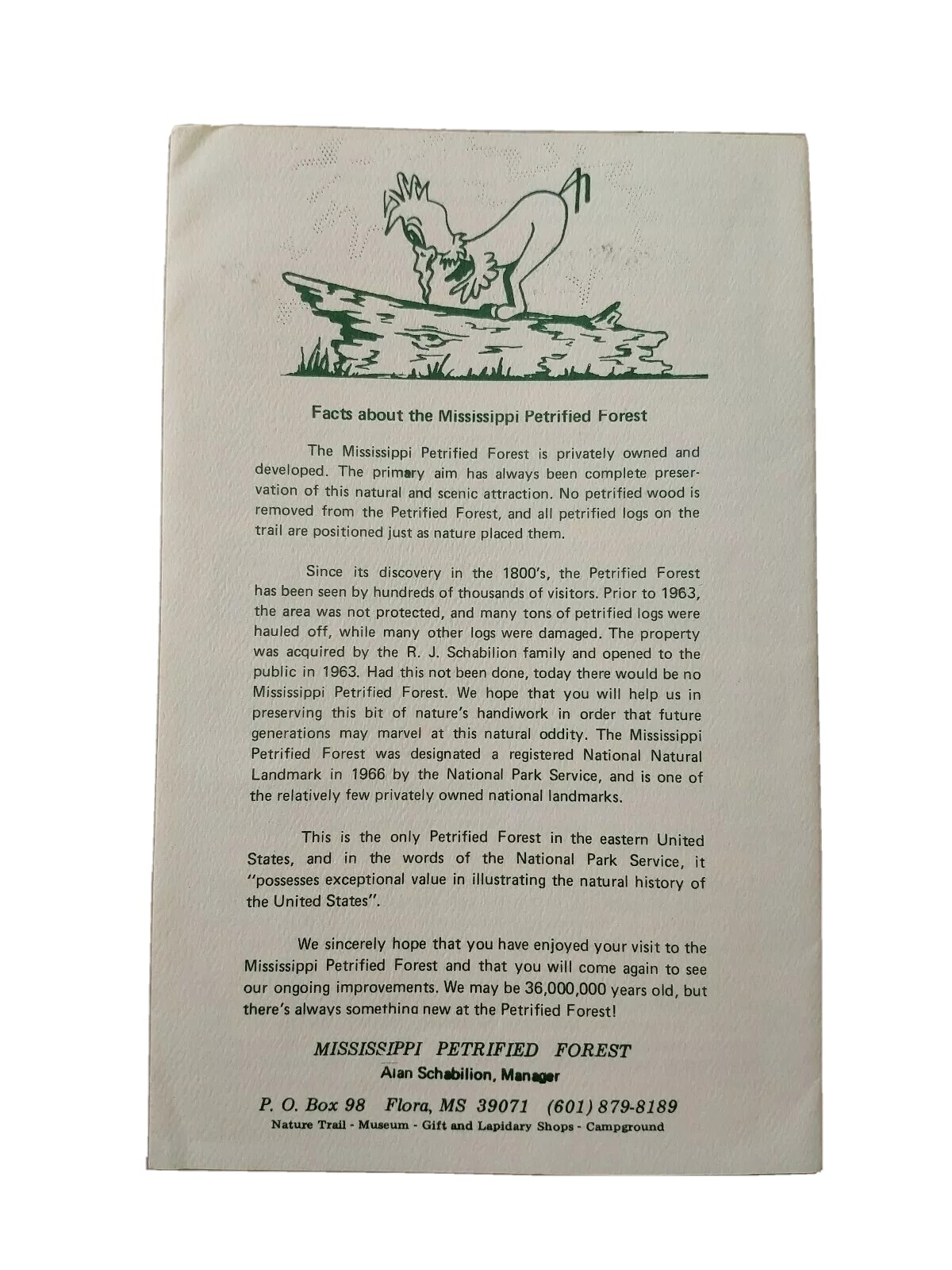 Vintage Travel Guide: Mississippi Petrified Forest Nature Trail