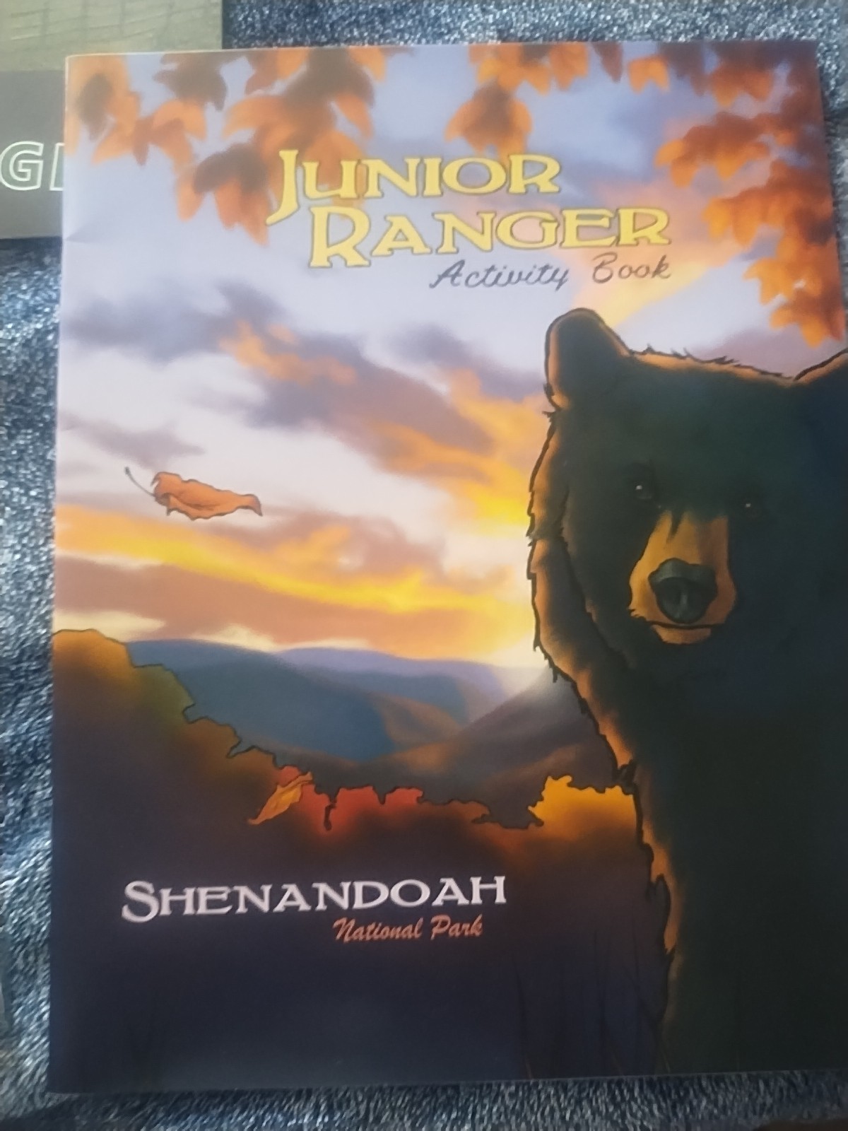 National Park Junior Ranger Books Statue Of Liberty Washington DC +Unigrids