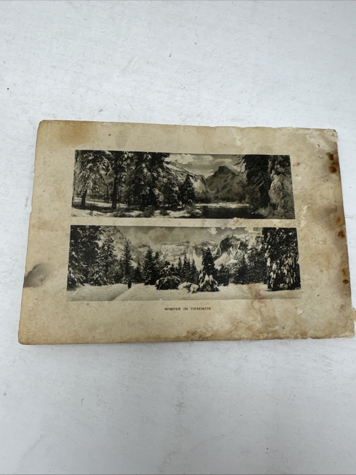 Yosemite National Park California Photo Gravures Set Vintage Pacific Novelty