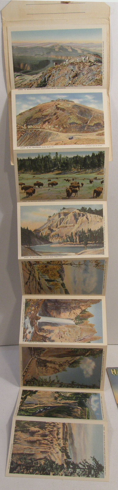 VINTAGE c1937 HAYNES SOUVENIR FOLDER POSTCARD YELLOWSTONE PARK SERIES A B C D