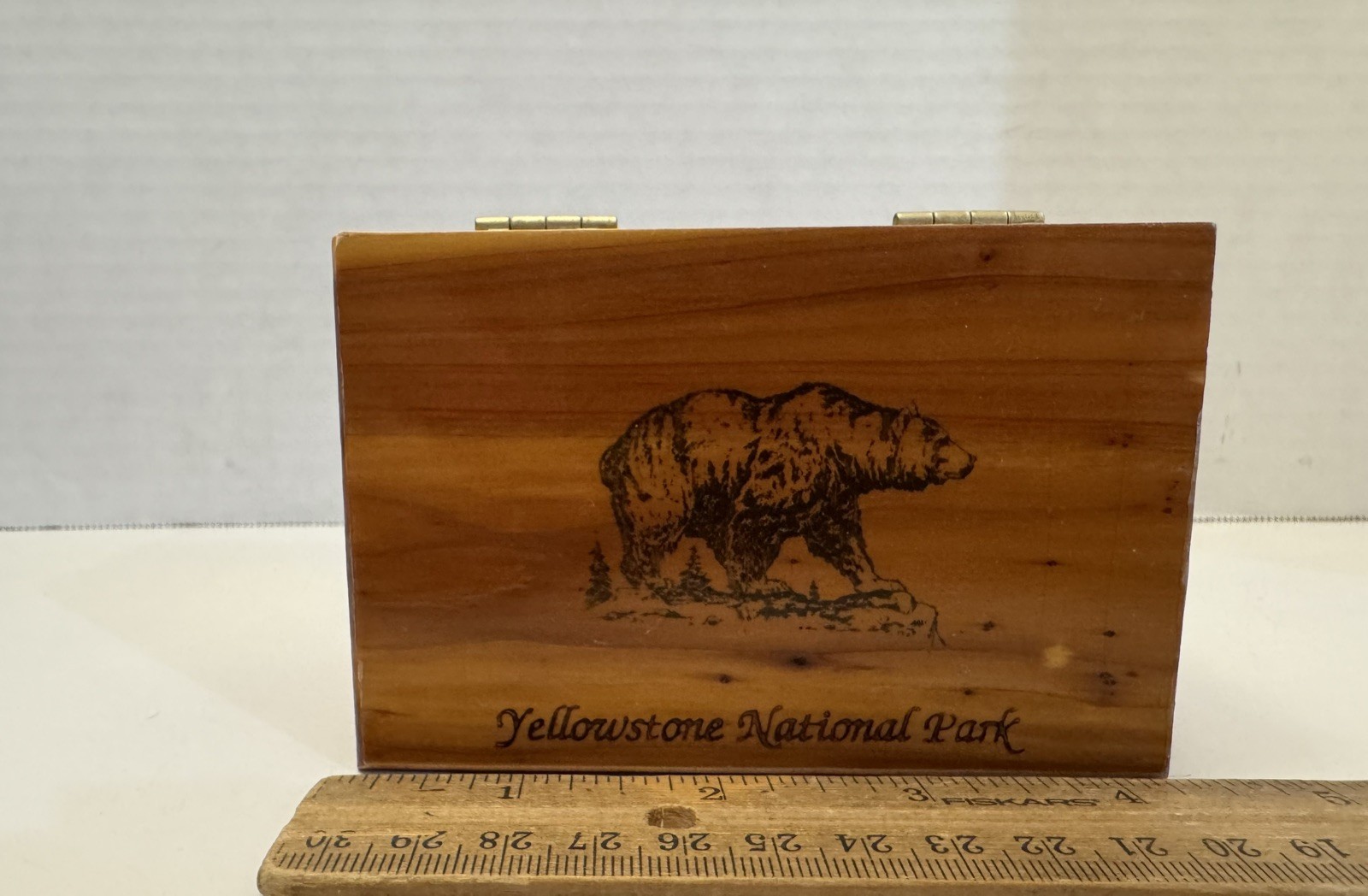 Vintage Yellowstone Nat Park Small Hinged Cedar Wood Trinket Jewelry Box, Bear
