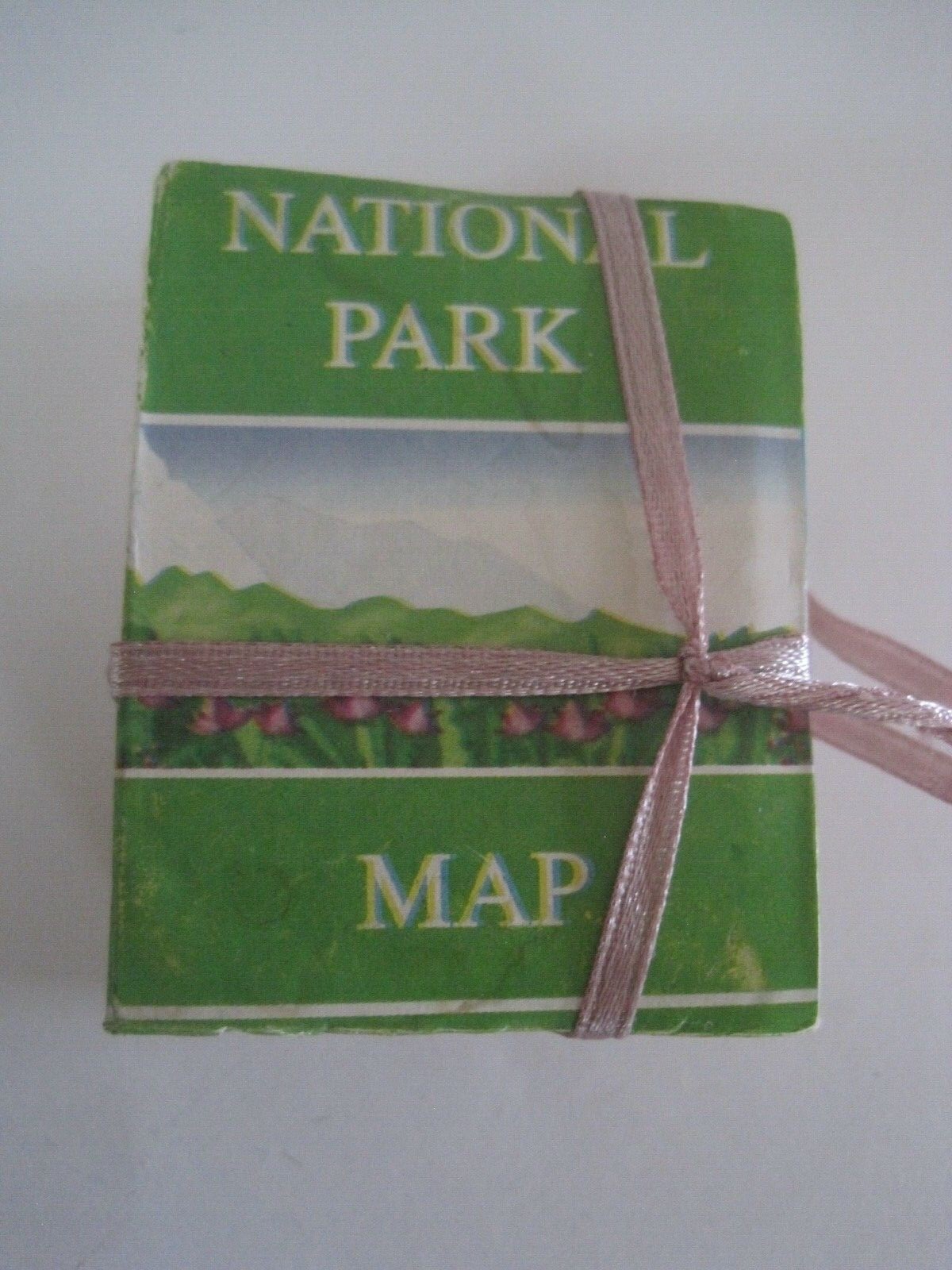 National Park Mini Mugs Lot 2 2.5″”