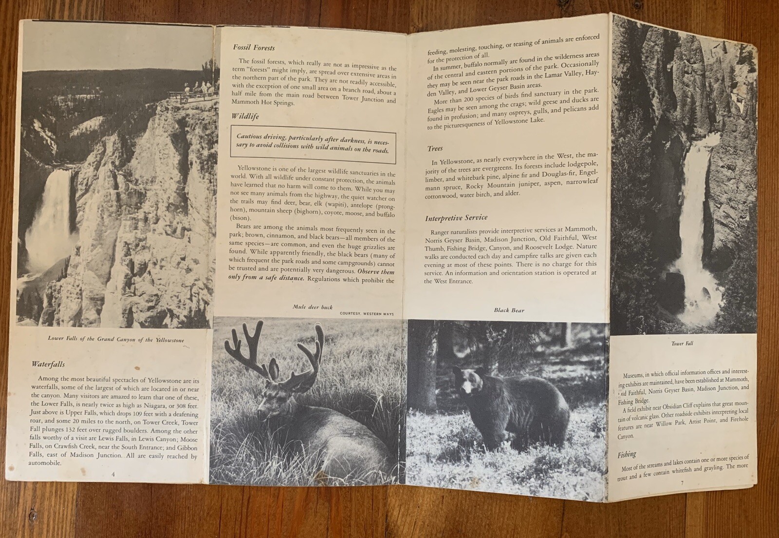 Original 1956 Yellowstone National Park Travel Brochure Wyoming, Montana, Idaho