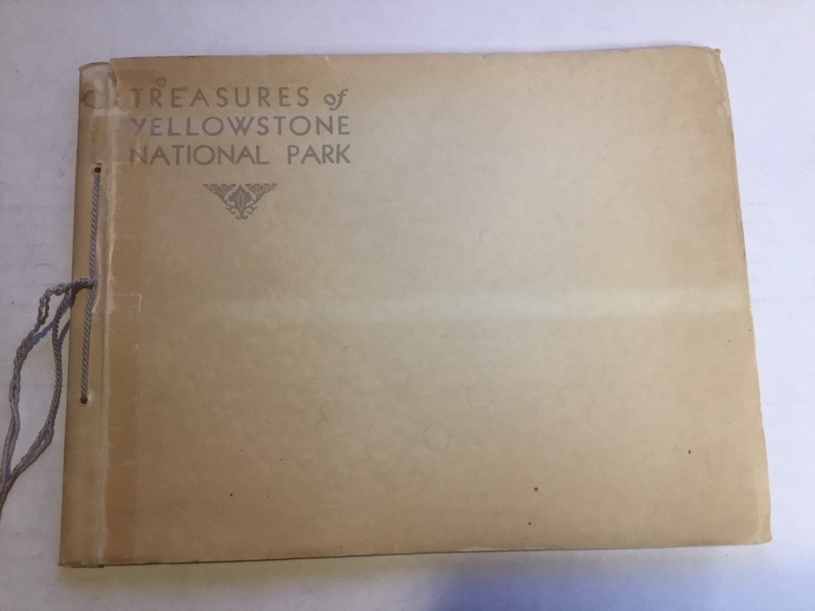 Vintage Treasures of Yellowstone National Park Haynes 18 Color Photos