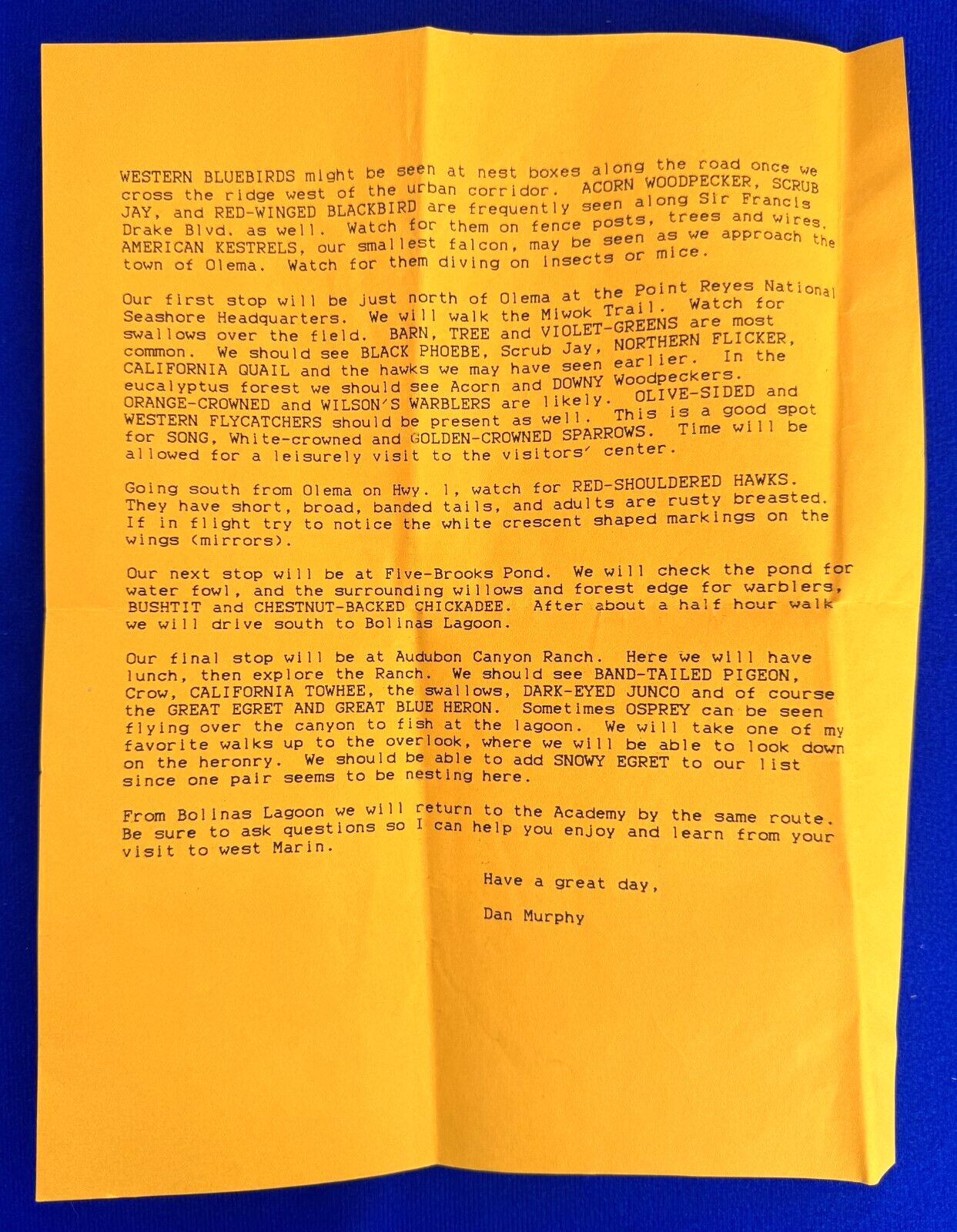 Vintage 1992 Birding West Marin San Francisco Bay Area CA Letter with Dan Murphy