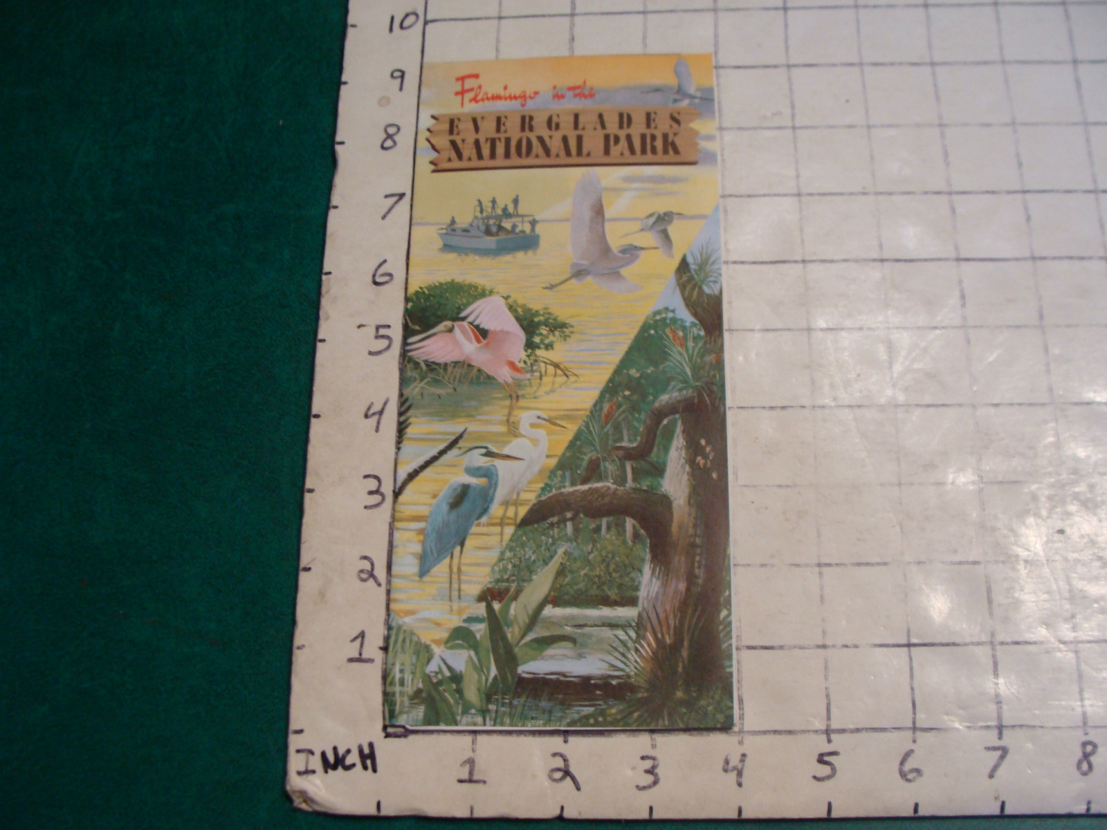 vintage HIGH GRADE travel brochure: 1962 EVERGLADES NATIONAL PARK flamingo