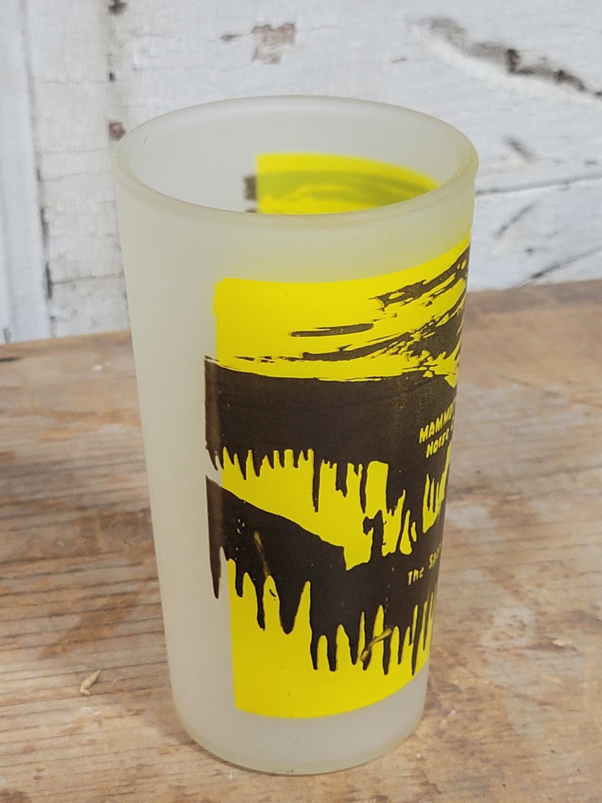 Vintage Mammoth Onyx Cave Kentucky KY Frosted Glass Souvenir Tumbler Horse