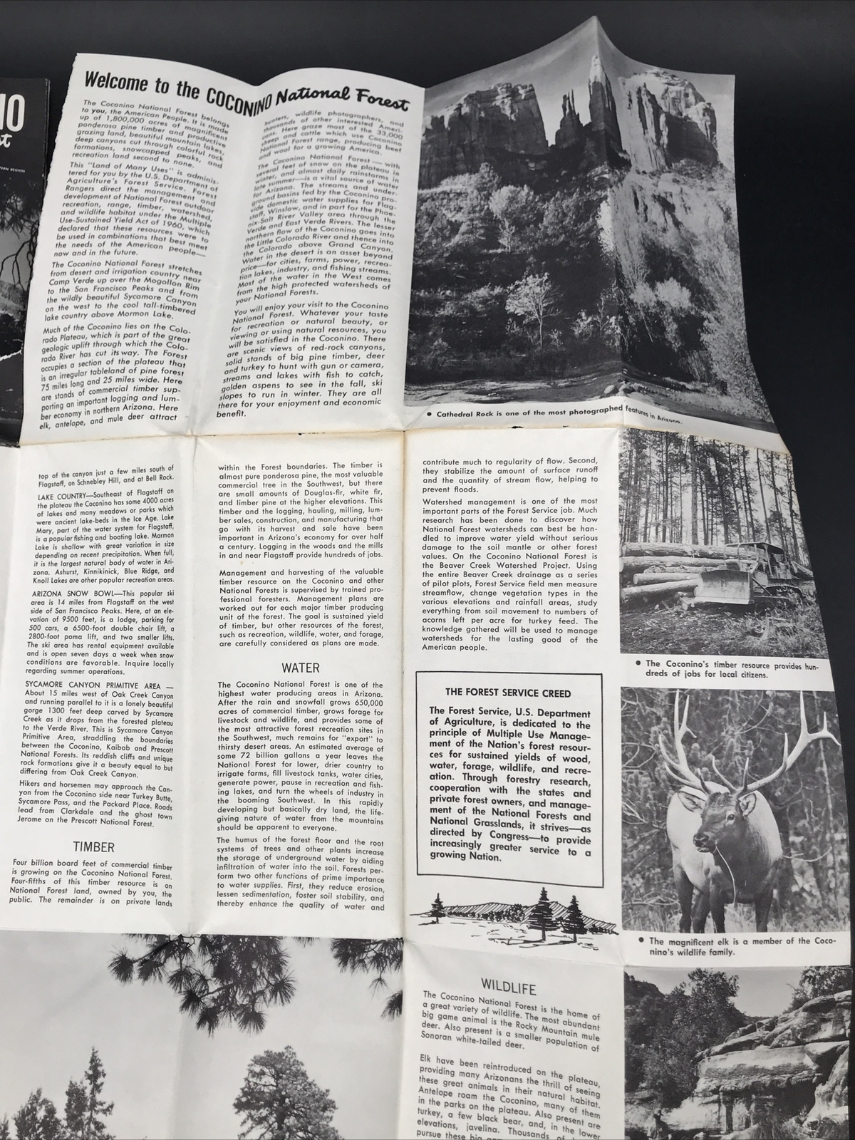 VTG 1968 Coconino National Forest Arizona Map US Dept of Agriculture