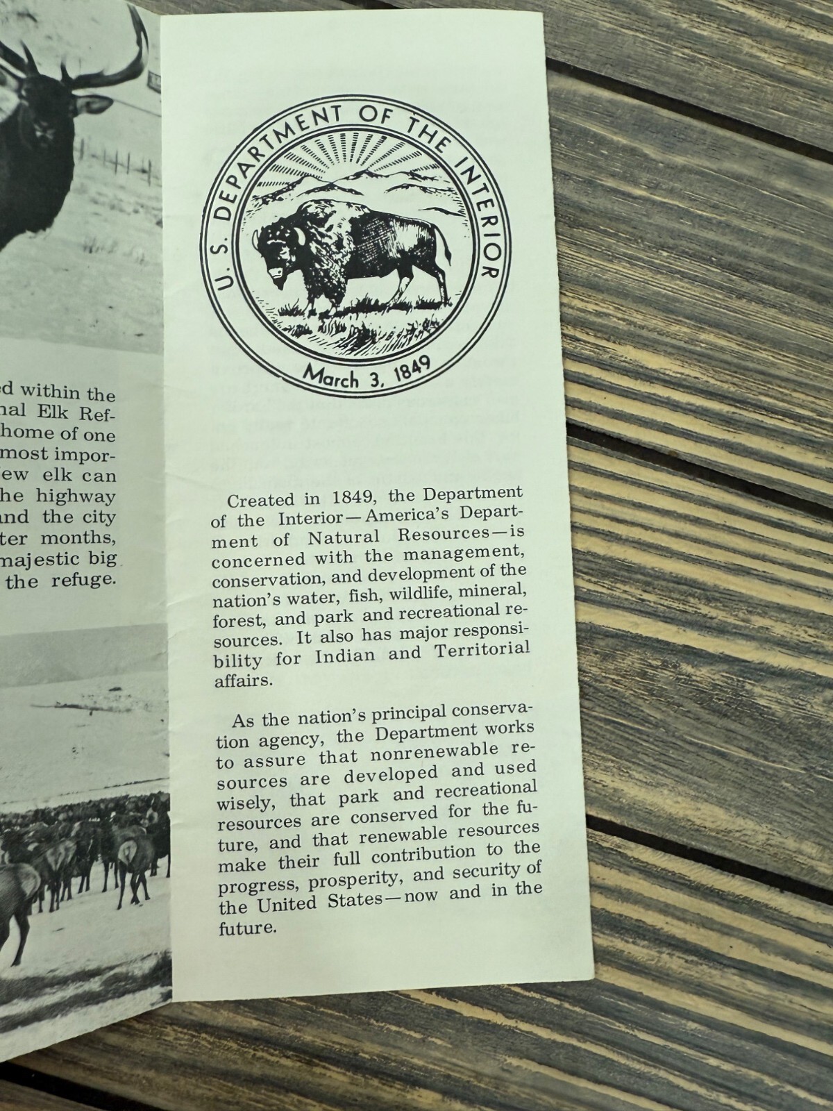 U.S. Department Of The Interior Jackson National Fish Hatchery Brochure 1960s Vi