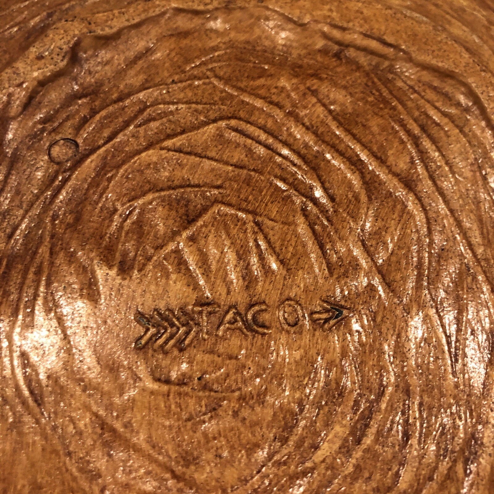 Vintage Yellowstone Park Souvenir 12″ Taco Plate Bowl 3D Faux Wood Retro Cabin