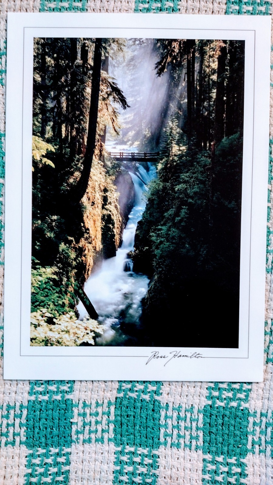 5 x 7 BEAUTIFUL POST CARD SOL DUC FALLS OLYMPIC NATIONAL PARK WA