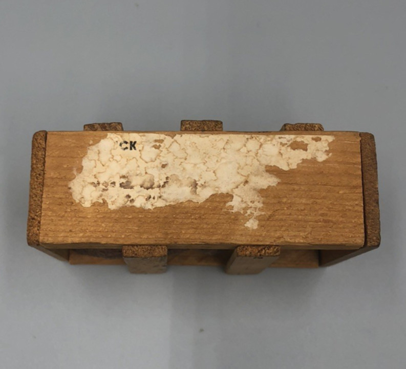 Good Luck Bear in Wood Crate Souvenir Yellowstone Park w/ Thomas Jefferson Stamp