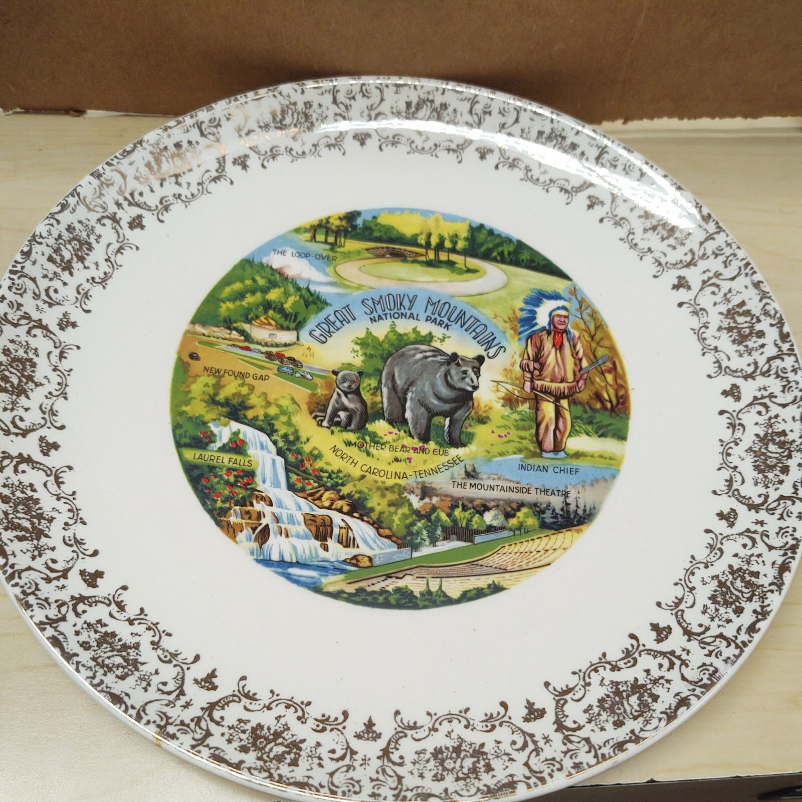Vintage Great Smoky Mountains National Park Souvenir 9″ Ceramic Plate