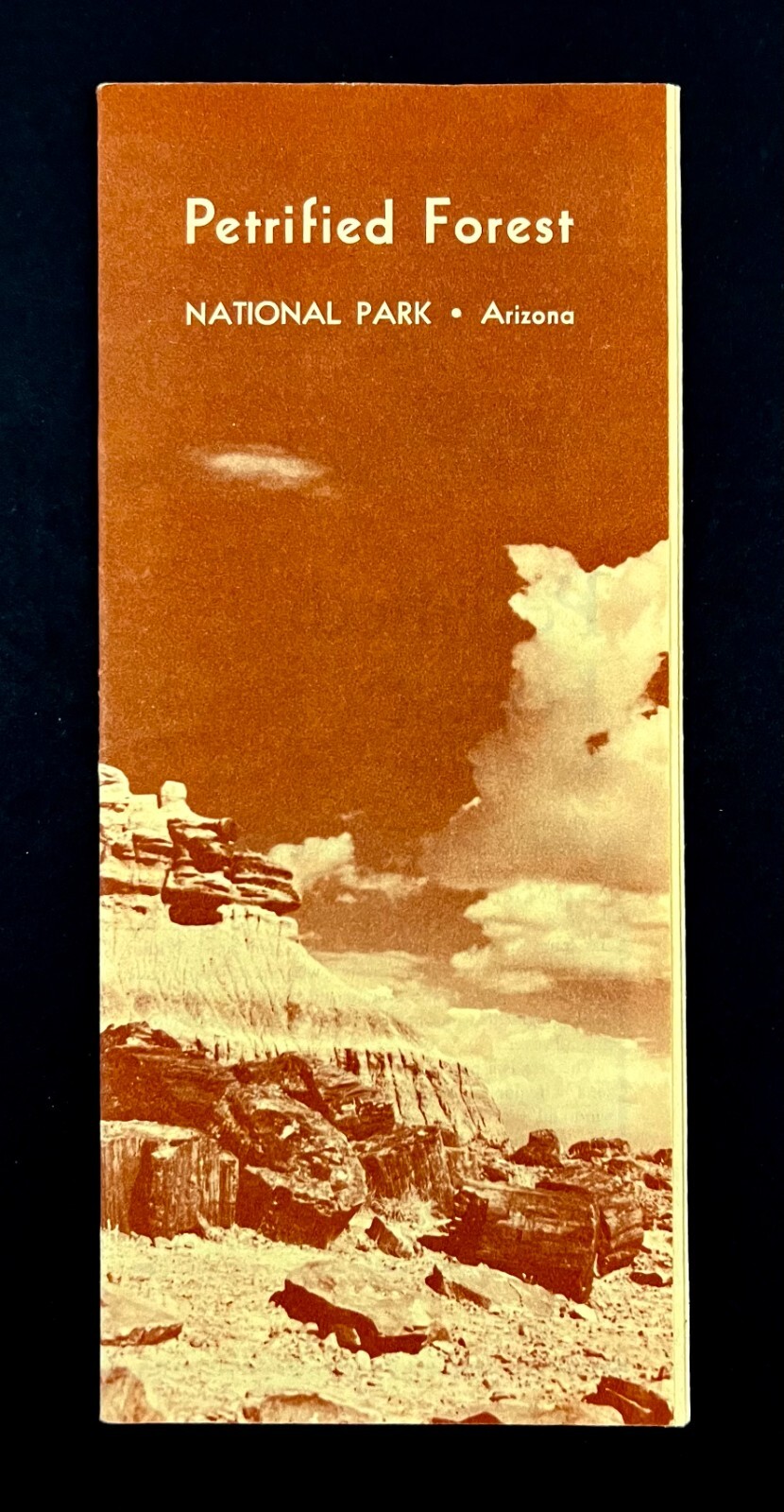 1963 Petrified Forest Arizona Vintage National Park Guide Travel Brochure Map AZ