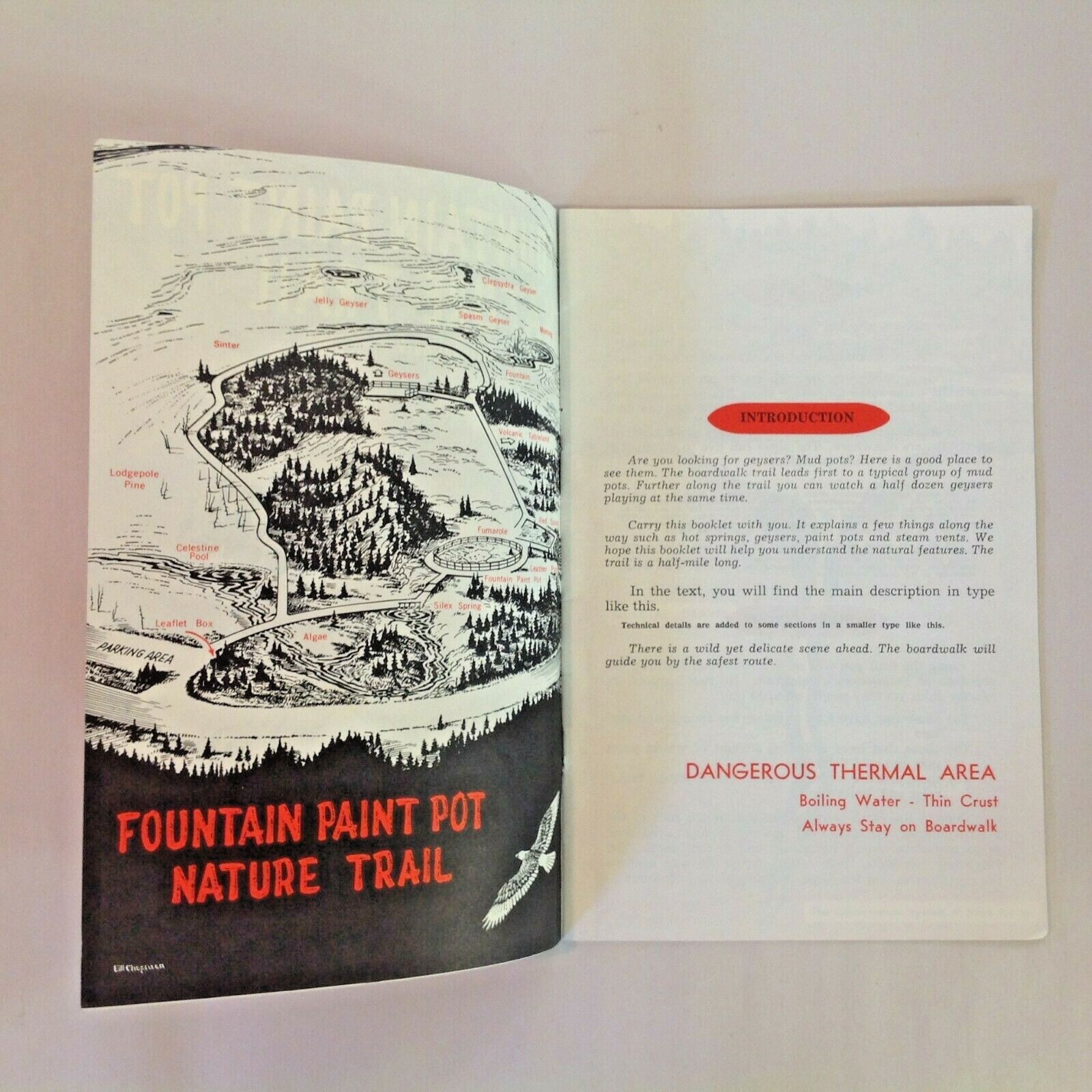 Vtg 1963 Fountain Paint Pot Nature Trail Yellowstone