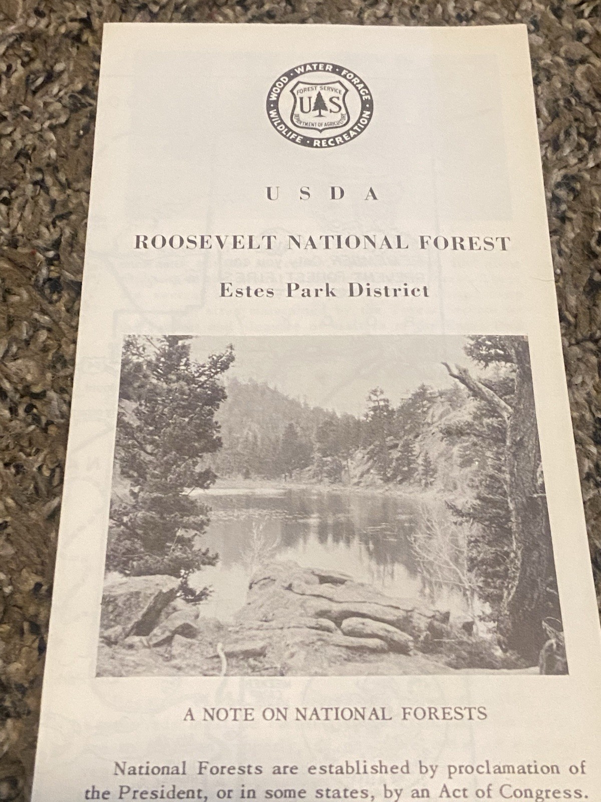 Vtg USDA Estes Park Roosevelt National Forest Brochure Map Smokey Bear Colorado