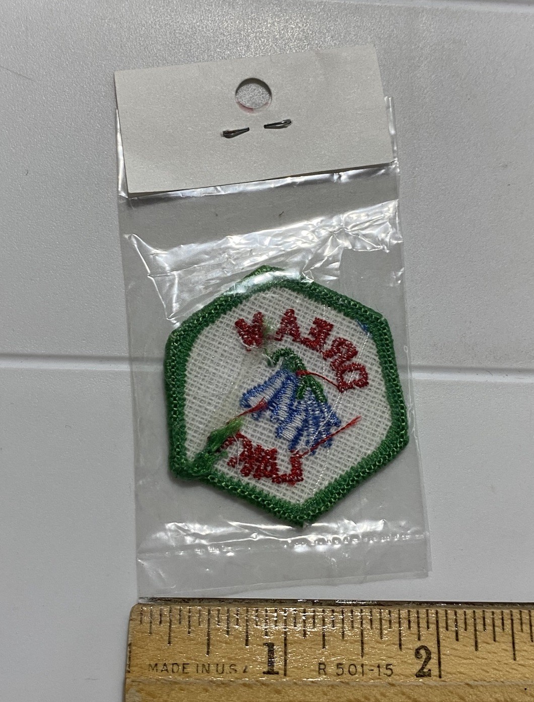 NIP Dream Lake Rocky Mountain National Park Trail Tag Souvenir Badge Patch