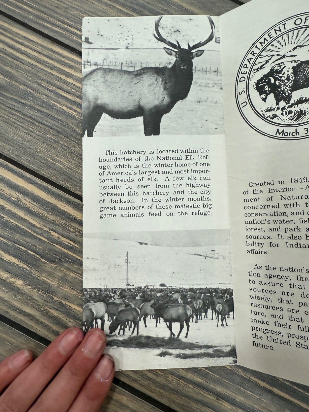 U.S. Department Of The Interior Jackson National Fish Hatchery Brochure 1960s Vi