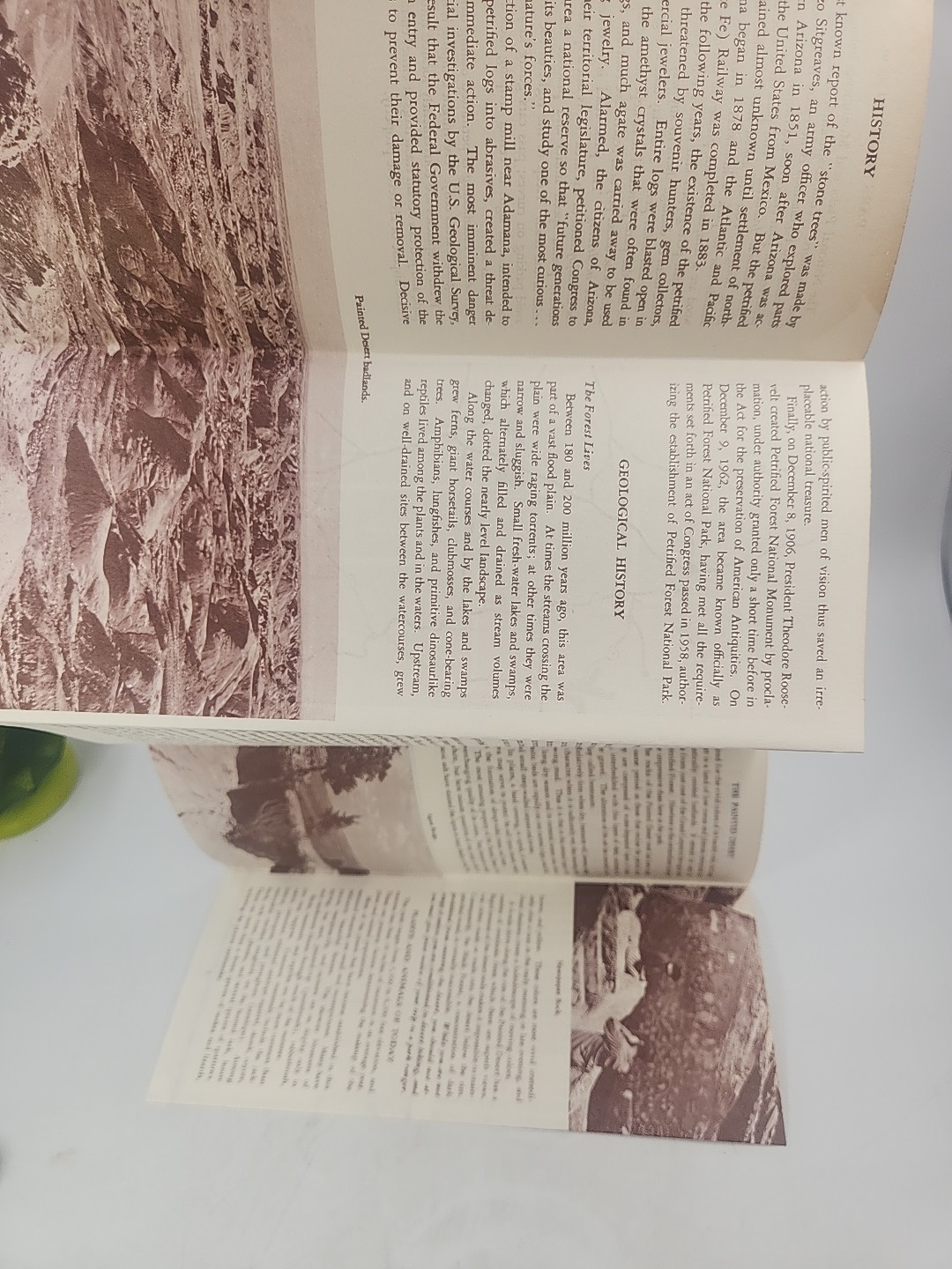 Petrified Forest National Park-Arizona (Travel Brochure and Map) 1967