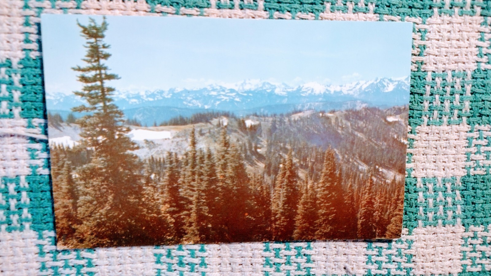 VINTAGE POST CARD SNOWY OLYMPIC MOUNTAINS STATE OF WASHINGTON