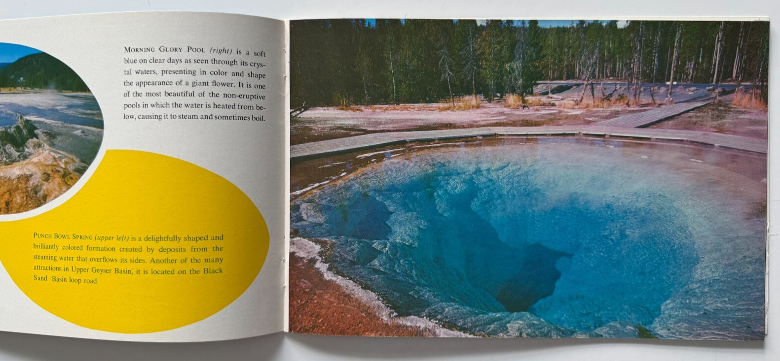 Vintage ca 1950s Yellowstone National Park Souvenir Booklet color illustrated
