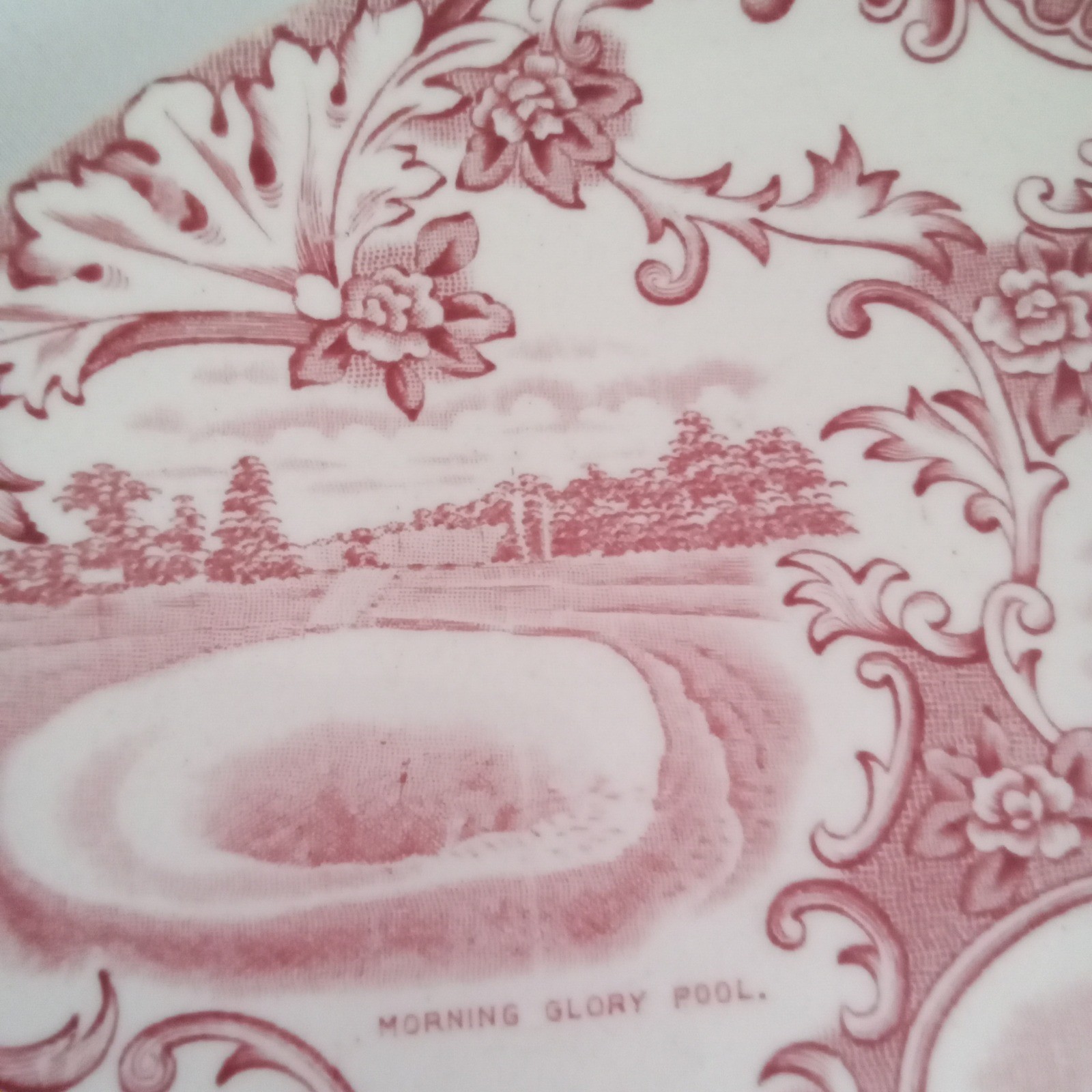 Adams Old English Staffordshire Ware Yellowstone Park Pink Transferware Plate