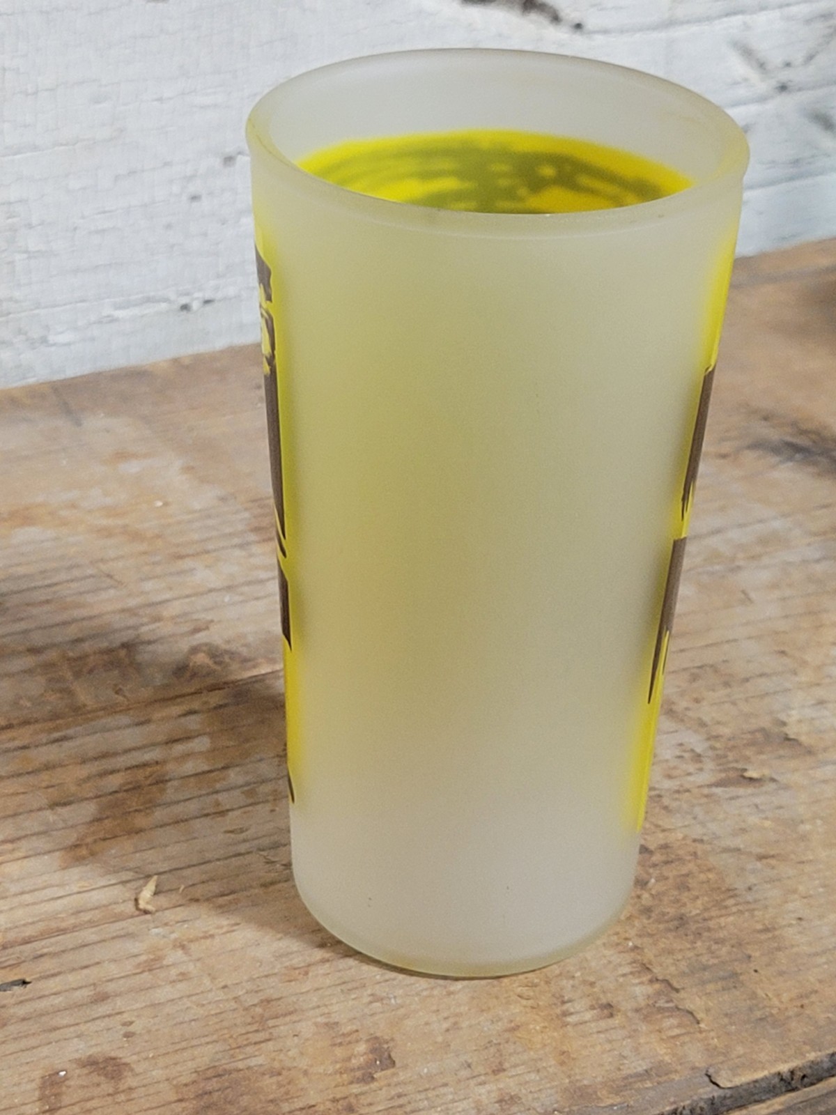 Vintage Mammoth Onyx Cave Kentucky KY Frosted Glass Souvenir Tumbler Horse