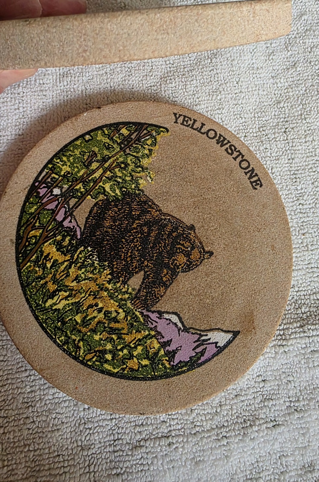 Set Of 2 Round Yellowstone National Park Bear & Bison Sandstone Coasters 4″