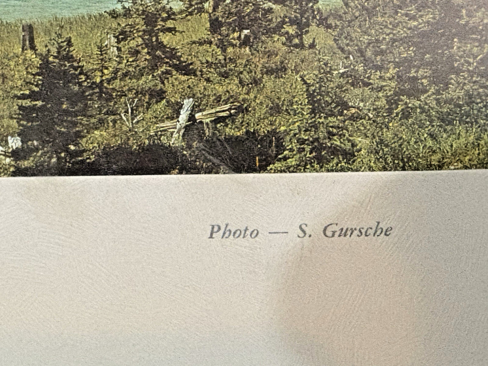 Vtg Framed Color Photo Bow Lake Banff National Park Canada S. Gursche