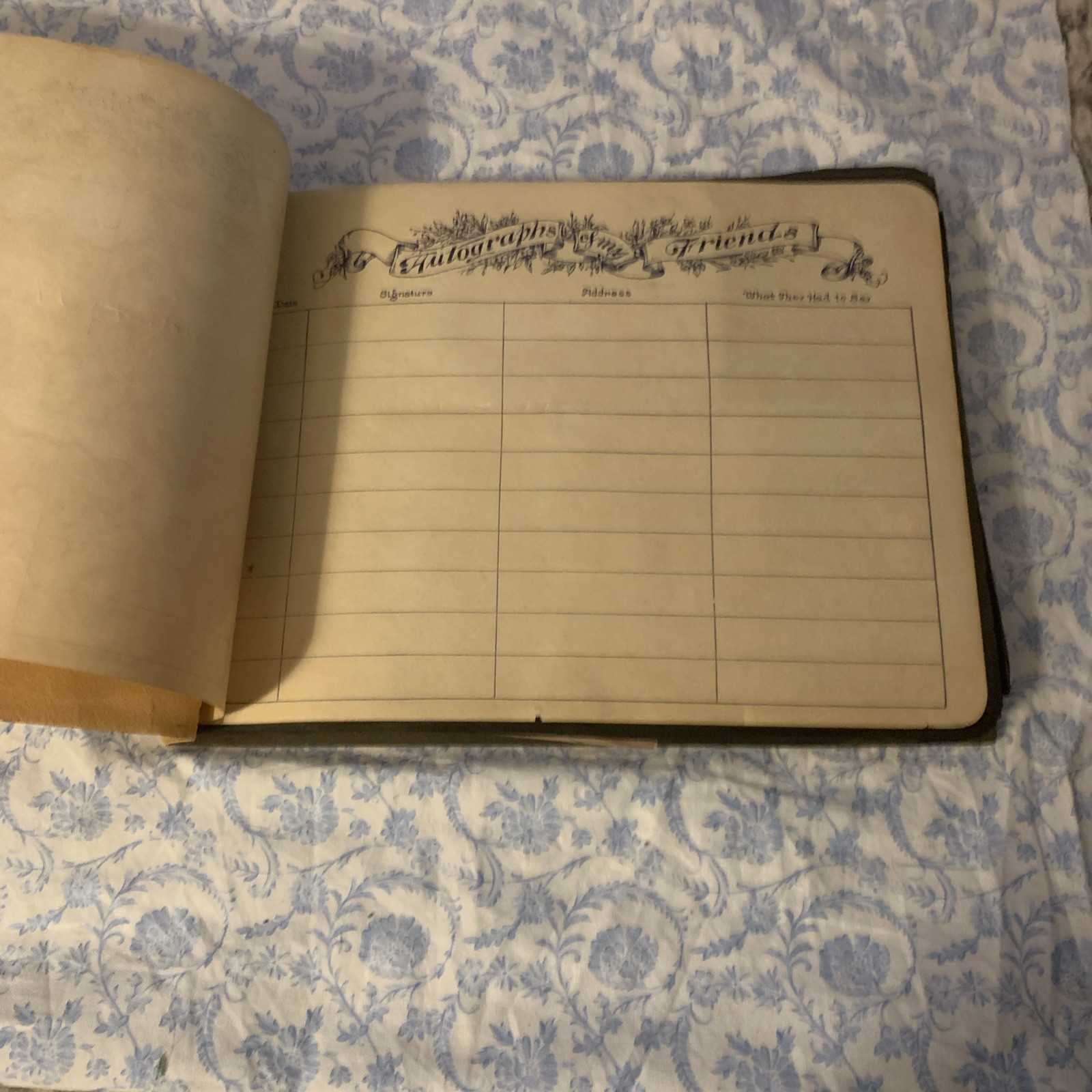 Yellowstone National Park & Western Trip Leather Photo Album W/RPC’s