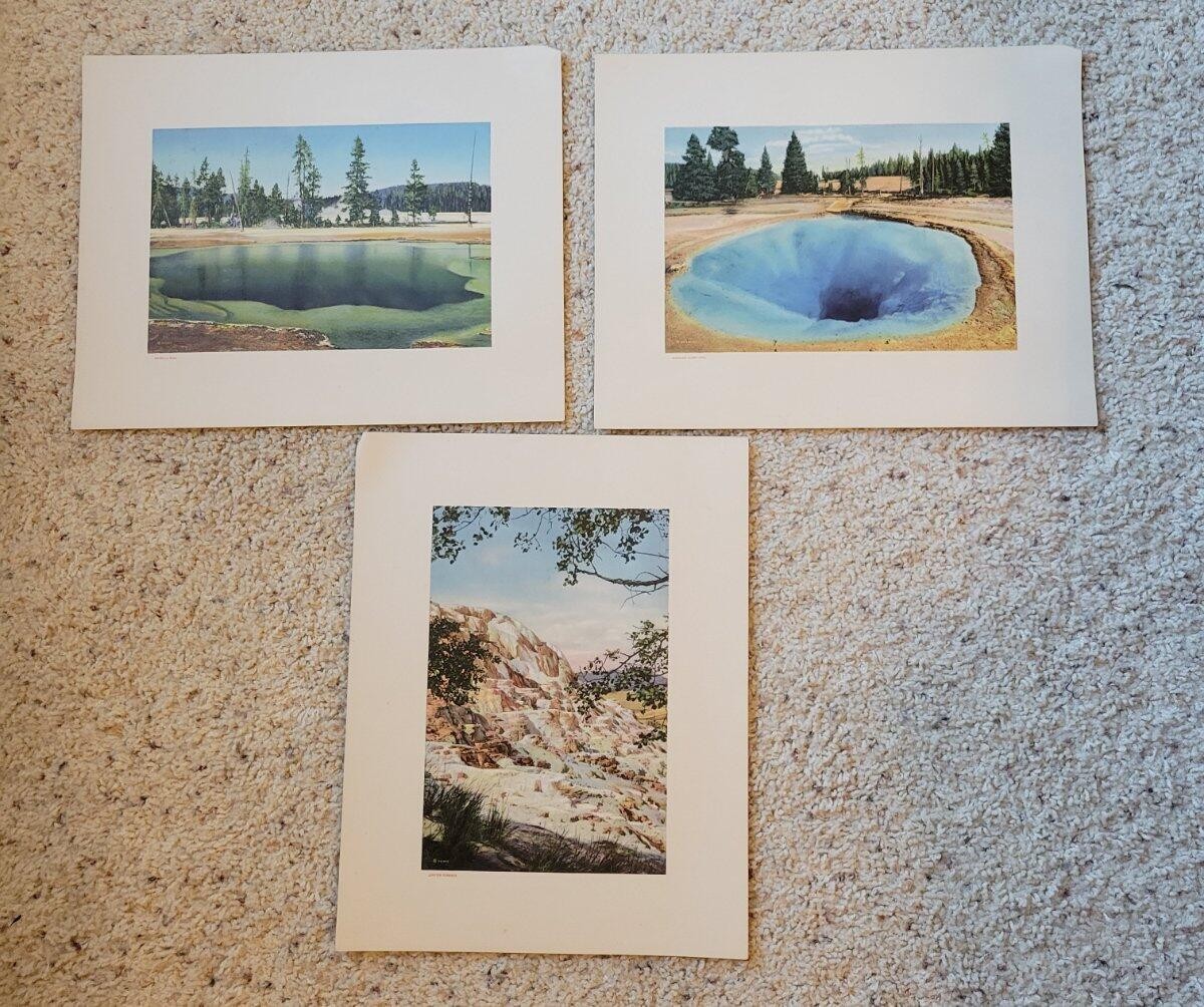 Vintage Yellowstone National Park Portfolio Set Haynes & Large Postcards