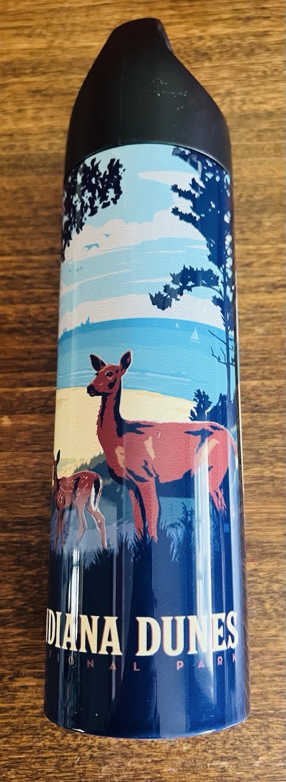 NEW Indiana Dunes National Park Travel Souvenir Thermos Stainless Steel 16oz !
