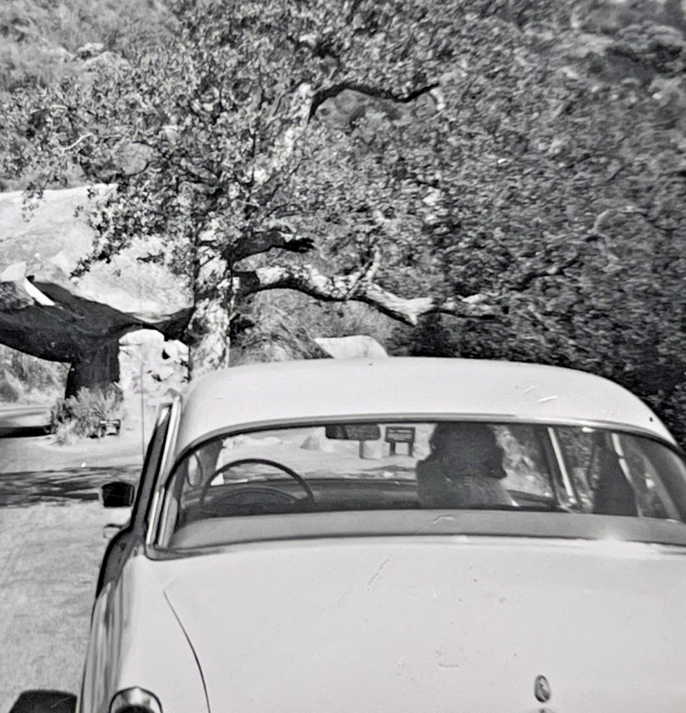 Sequoia National Park TUNNEL ROCK 1955 Original Photo GENERALS HWY History 9E