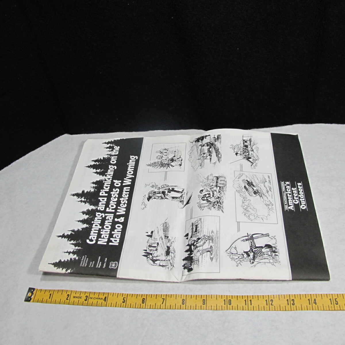 US Forest Service Camping Picnicking National Forests Idaho Wyoming VERY RARE !