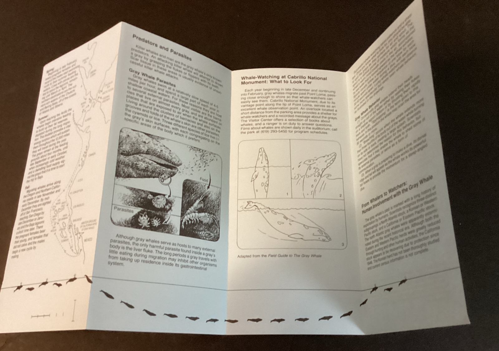 National Park CA Vintage 1981 Cabrillo National Monument/tidepools/gray whales
