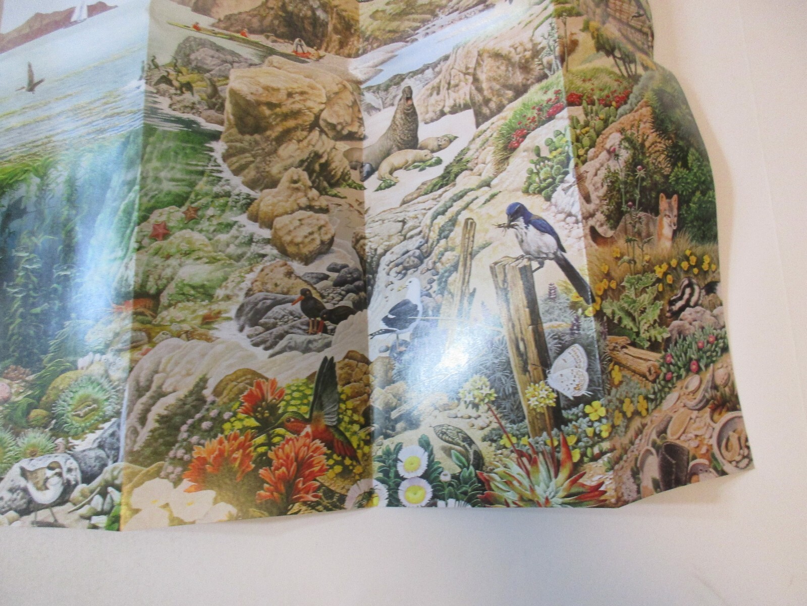 2017 Channel Islands California National Park System Brochure Map Guide~B24