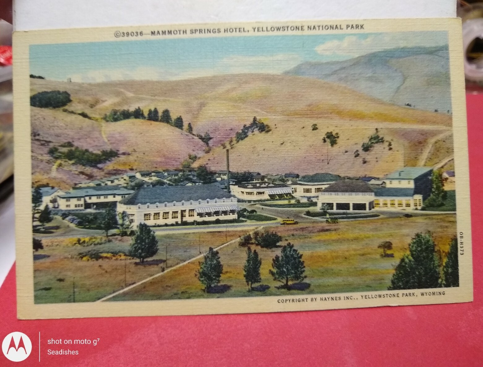 Vintage Mammoth Springs Hotel Yellowstone National Park WY Postcard By Haynes