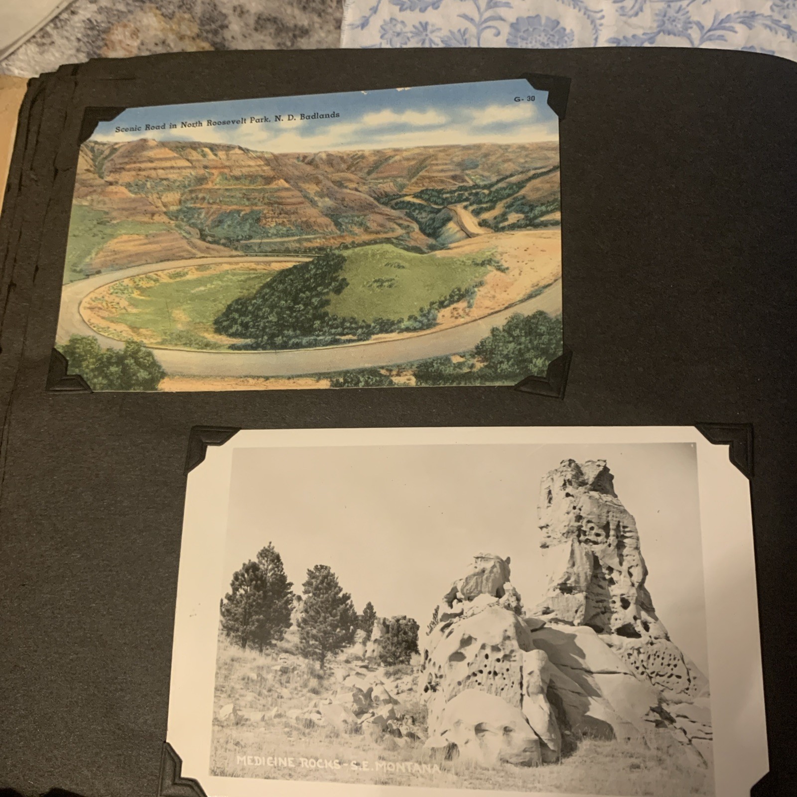 Yellowstone National Park & Western Trip Leather Photo Album W/RPC’s