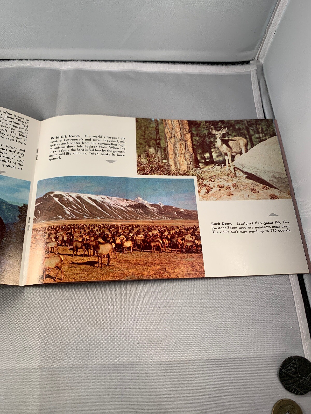 1968 Yellowstone Grand Teton National Park Color Brochure